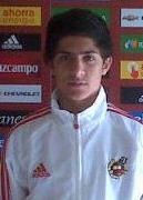 Bicho