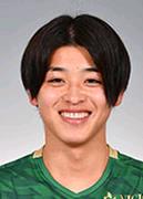 Arai M.