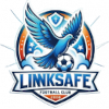 Jinan Linksafe